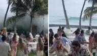 Huge waves disrupt wedding celebration in Hawaii; watch viral video