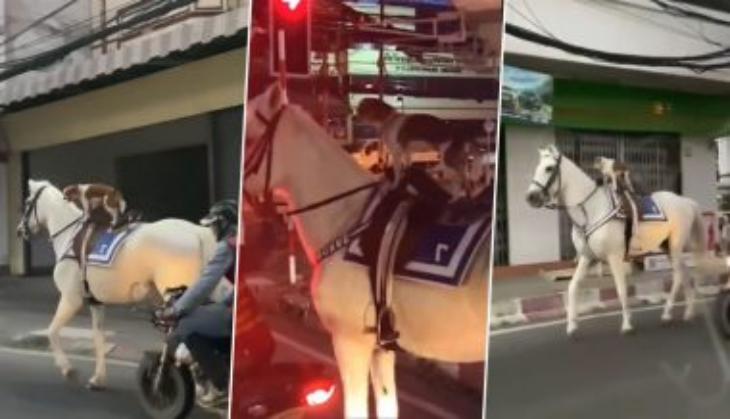 Dog rides a horse by itself; leave netizens amazed