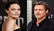 Angelina Jolie wins legal battle against ex-husband Brad Pitt over French winery