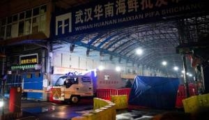 China's Wuhan seafood market likely cause of Covid-19 outbreak, find studies