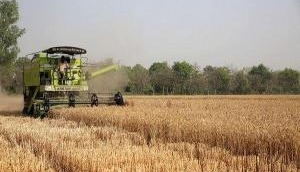 G-20 Presidency for India -- a golden opportunity to correct longstanding issues on farm subsidies: SBI Research