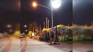 Insane Stunt: Woman climbs lamp post to show her aerobic skills; netizens term it 'dangerous'
