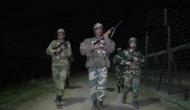 BSF arrests Pakistani intruder from international border along Jammu-Kashmir