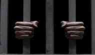 Delhi: Three held for slaughtering cattle