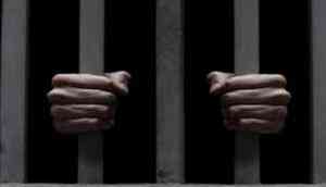 Delhi: Three held for slaughtering cattle