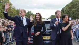 Prince William ripped on social media, Prince Harry praised for treatment of Meghan Markle 