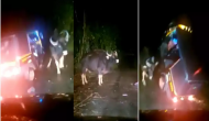 Bison viciously attacks auto-rickshaw in middle of road; video goes viral [Watch]