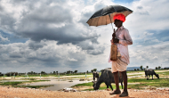 Weather update: Rajasthan to witness dry weather; check IMD forecast here