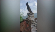 J&K: Army dog 'Zoom' succumbs to bullet injury