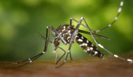 Centre rushes High Level team to UP to assess, manage dengue situation in 3 districts