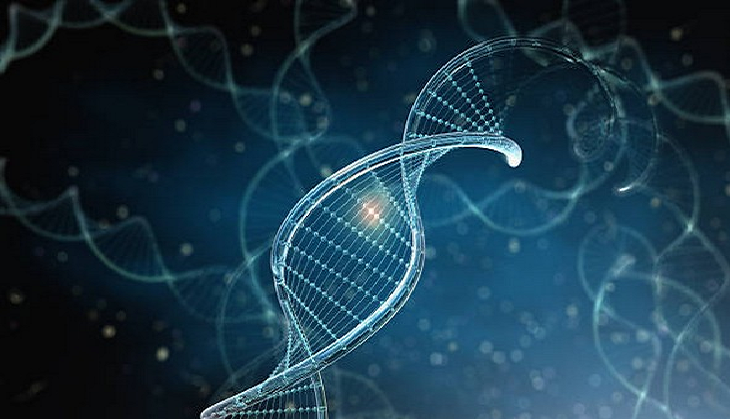 Large-scale DNA study reveals genetic links to height