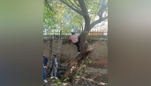 Miranda House College Fest: Delhi Police take suo moto cognizance, register FIR
