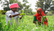 Rajasthan: State Seed Corp launches gift scheme for farmers; lucky draw winners will get tractors