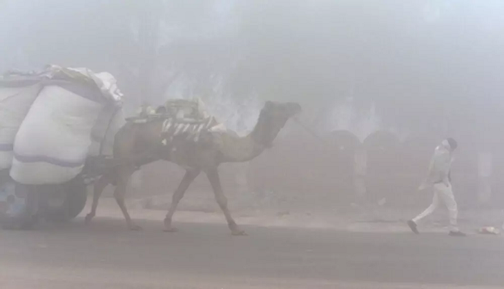 Weather Update: Rajasthan feeling winter chills; Sikar, Churu recorded coldest night, rain expected