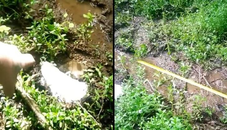 Man finds massive footprints 64 inches apart while walking through the woods