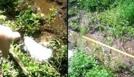 Man finds massive footprints 64 inches apart while walking through the woods