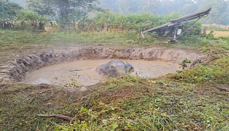 Chhattisgarh: 3 elephants fall into 20ft deep pit; 2 rescued, rescue efforts underway