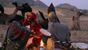 Weather update: Winter to set in Rajasthan from November first week; check full forecast here