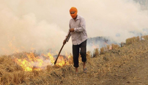 Air Pollution: Stubble Burning in Rajasthan up by 160%, 20% in Punjab in last one year 