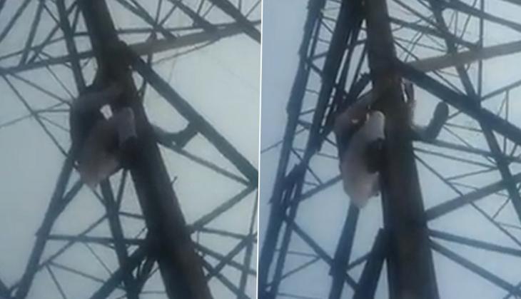 AAP leader Haseeb-ul-Hasan climbs transmission tower after party denies him ticket [WATCH]