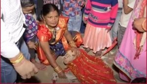 Gurugram couple conducts Hindu wedding rituals for two pet dogs [Watch]