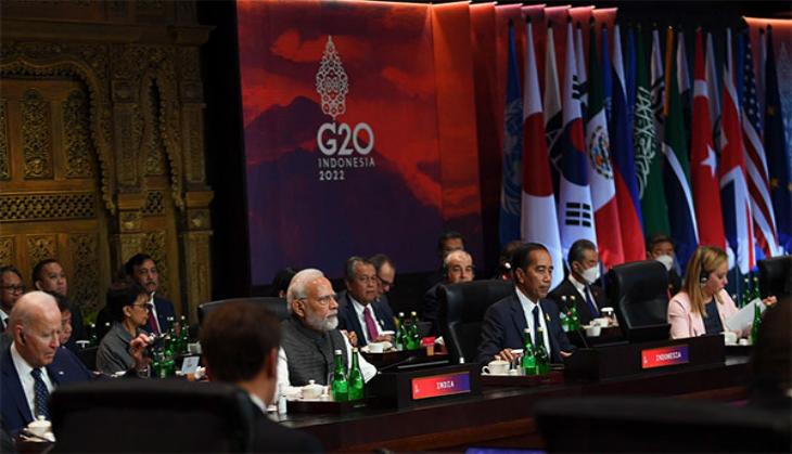 PM Modi at G20 Summit: 'Have to return to path of ceasefire and diplomacy in Ukraine' 