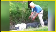 Watch: Elderly tried to catch giant alligator with towel, but…