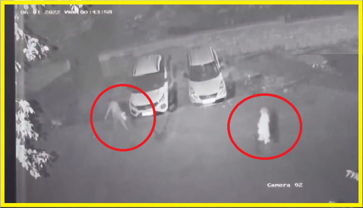 Shraddha murder like case in Delhi: Wife kills husband with son's help, chops body into pieces