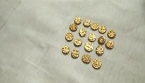 Andhra Pradesh: Gold coins surface while digging bore pipeline