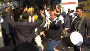 MCD poll results: Celebrations at AAP office after trends show party crossing halfway mark