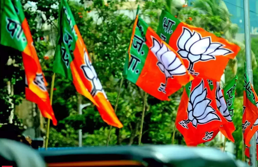 Reshufle of BJP general secretaries likely before assembly polls in states