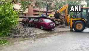 Cyclone Mandous disrupts life in Andhra, Tamil Nadu; leaders inspect affected region