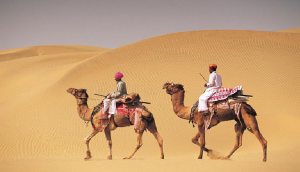 Rajasthan Weather: Minimum temperature on rise; Churu coldest, full forecast here