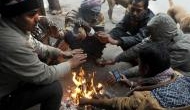 Cold wave likely to re-emerge over North-West India from January 15: IMD Scientist 