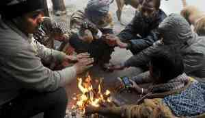 Cold wave likely to re-emerge over North-West India from January 15: IMD Scientist 