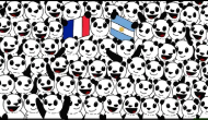 FIFA World Cup 2022 Special: Spot football hidden among lazy pandas in this brain teaser