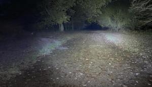 Couple encounters spooky figure in 'haunted’ park