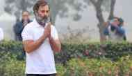 Rahul Gandhi on wearing T-shirt as Delhi shivers; BJP jibes 'Shehzada': 'Jab tak chal rahi hai chalayenge...'