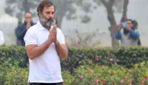 Rahul Gandhi on wearing T-shirt as Delhi shivers; BJP jibes 'Shehzada': 'Jab tak chal rahi hai chalayenge...'
