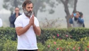 Rahul Gandhi on wearing T-shirt as Delhi shivers; BJP jibes 'Shehzada': 'Jab tak chal rahi hai chalayenge...'