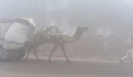 Weather update: Rajasthan records slight jump in temperature despite foggy sky; check full forecast here