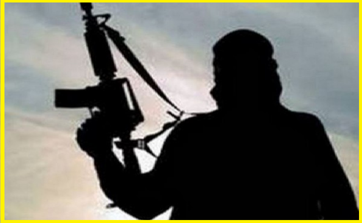 172 terrorists killed in encounters in Kashmir this year