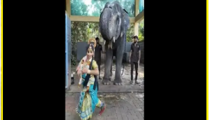 Viral Video: Anand Mahindra shares video of temple elephant ‘blessing’ dancer