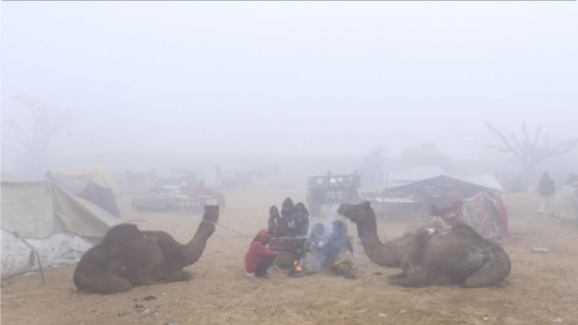 Weather Forecast: Cold wave grips Rajasthan; ‘Orange Alert’ issued, check full forecast 