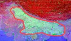 Weather update: Dense fog engulfs Indo-Gangetic plains, to persist over 2-3 days 