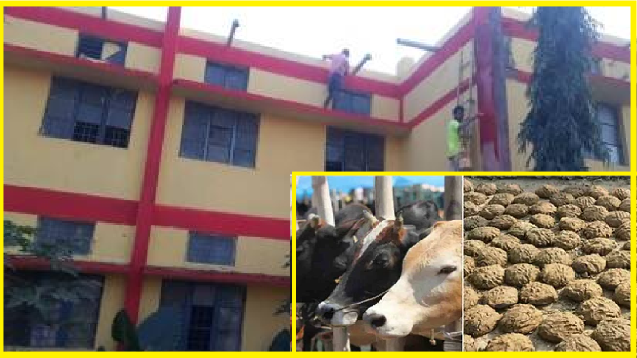 Godhan Nyay Yojana: ‘cow dung paint’ being used to paint government buildings, schools in Chhattisgarh