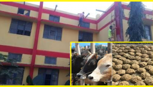 Godhan Nyay Yojana: ‘cow dung paint’ being used to paint government buildings, schools in Chhattisgarh