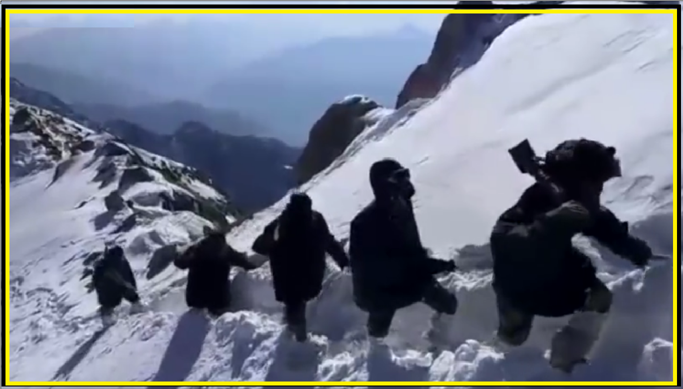 J&K: BSF troops conduct area domination patrolling along LoC [WATCH]