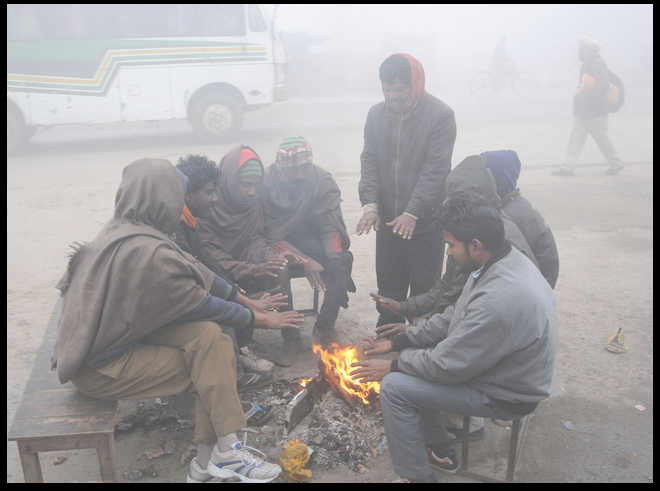 Weather Forecast: Cold wave, dense fog grip north India, Rajasthan’s Bikaner coldest; check top 10 coldest places