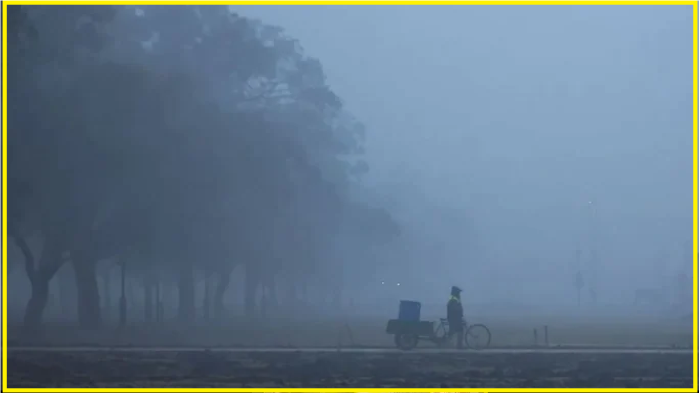 Weather Alert: Cold wave continues to haunt north India: Rain likely in these states; check full forecast
